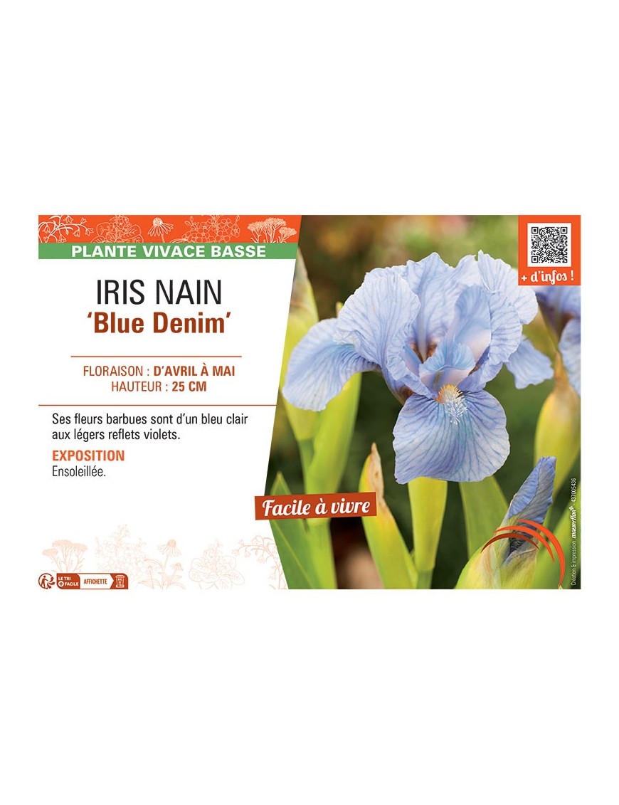 IRIS NAIN BLUE DENIM