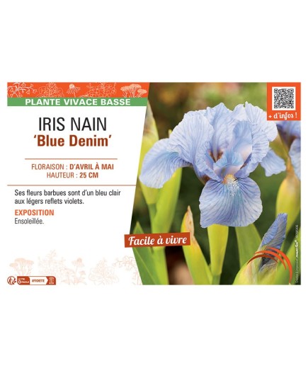 IRIS NAIN BLUE DENIM