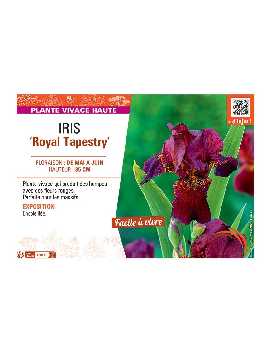IRIS ROYAL TAPESTRY