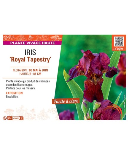 IRIS ROYAL TAPESTRY