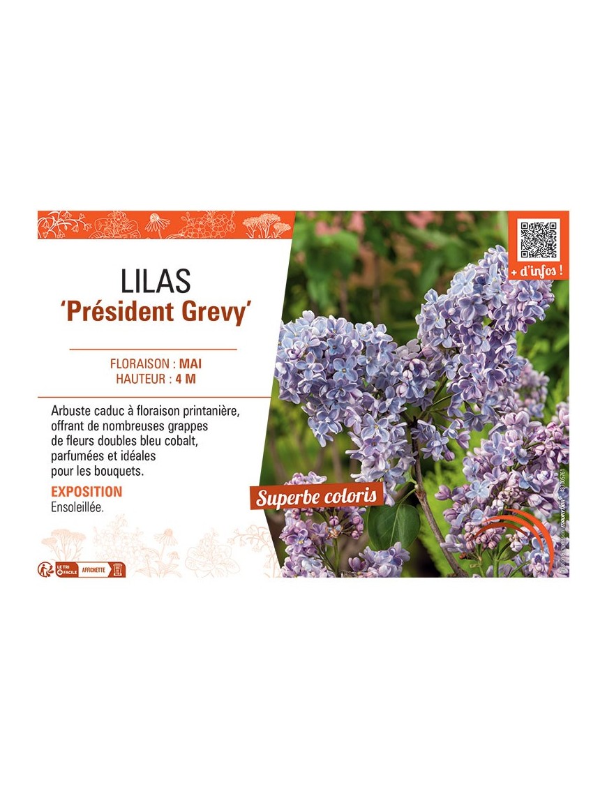 LILAS PRESIDENT GREVY