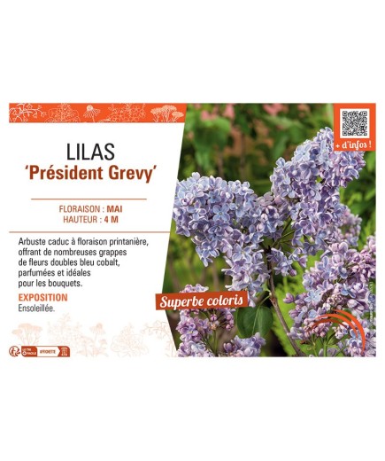 LILAS PRESIDENT GREVY