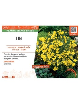 LIN (jaune)