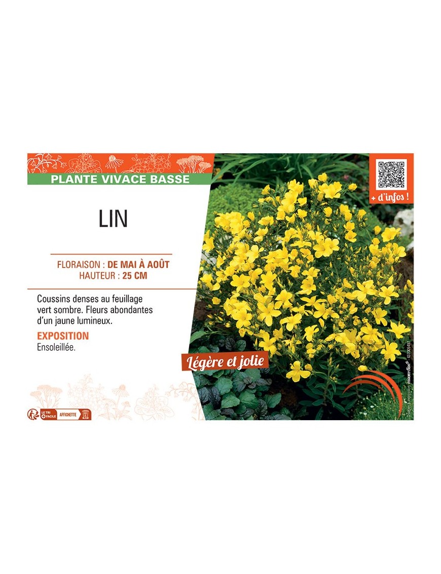 LIN (jaune)
