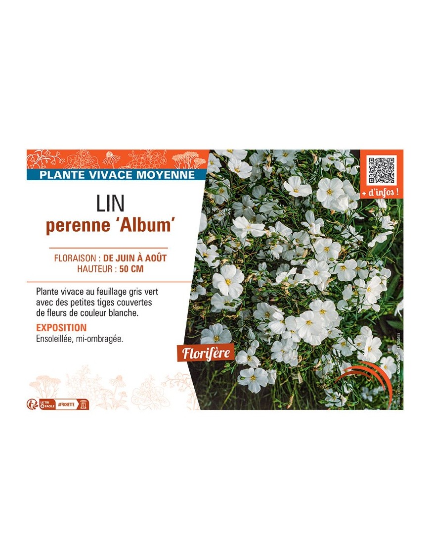 LIN PERENNE ALBUM