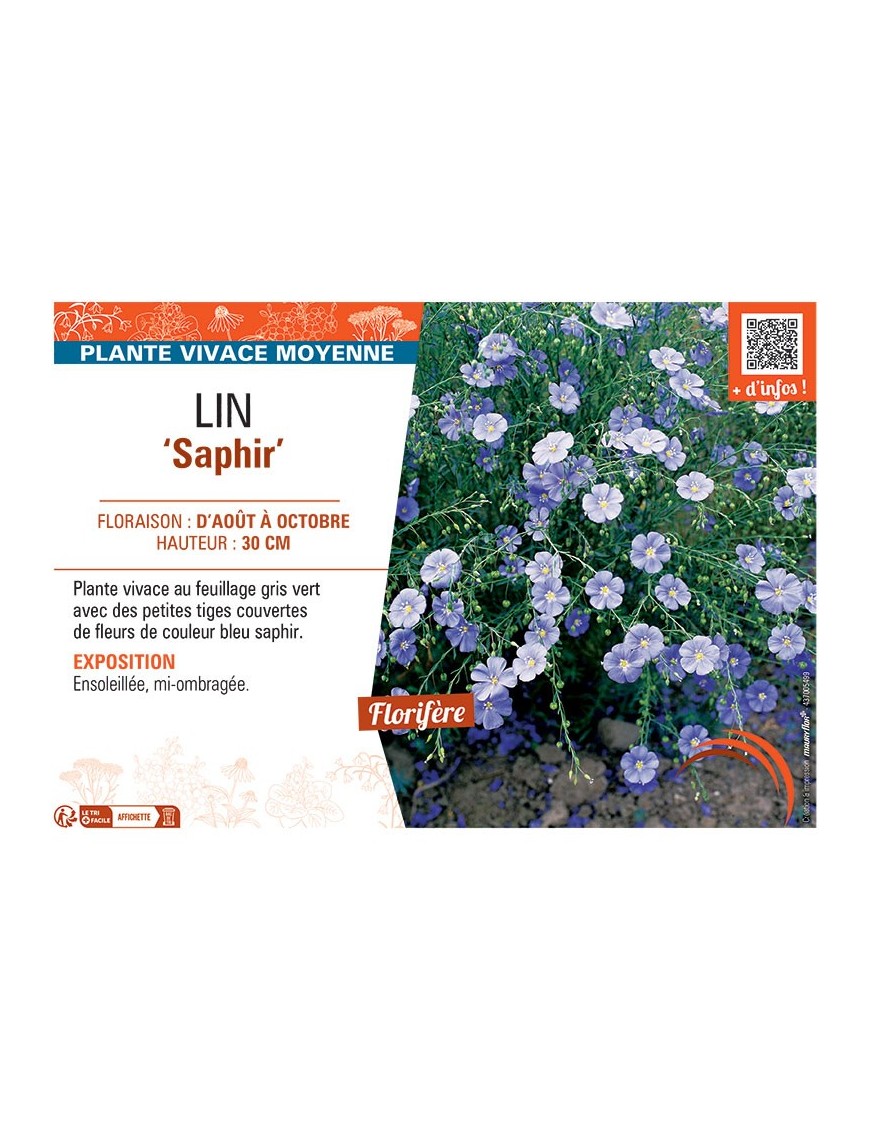LIN SAPHIR