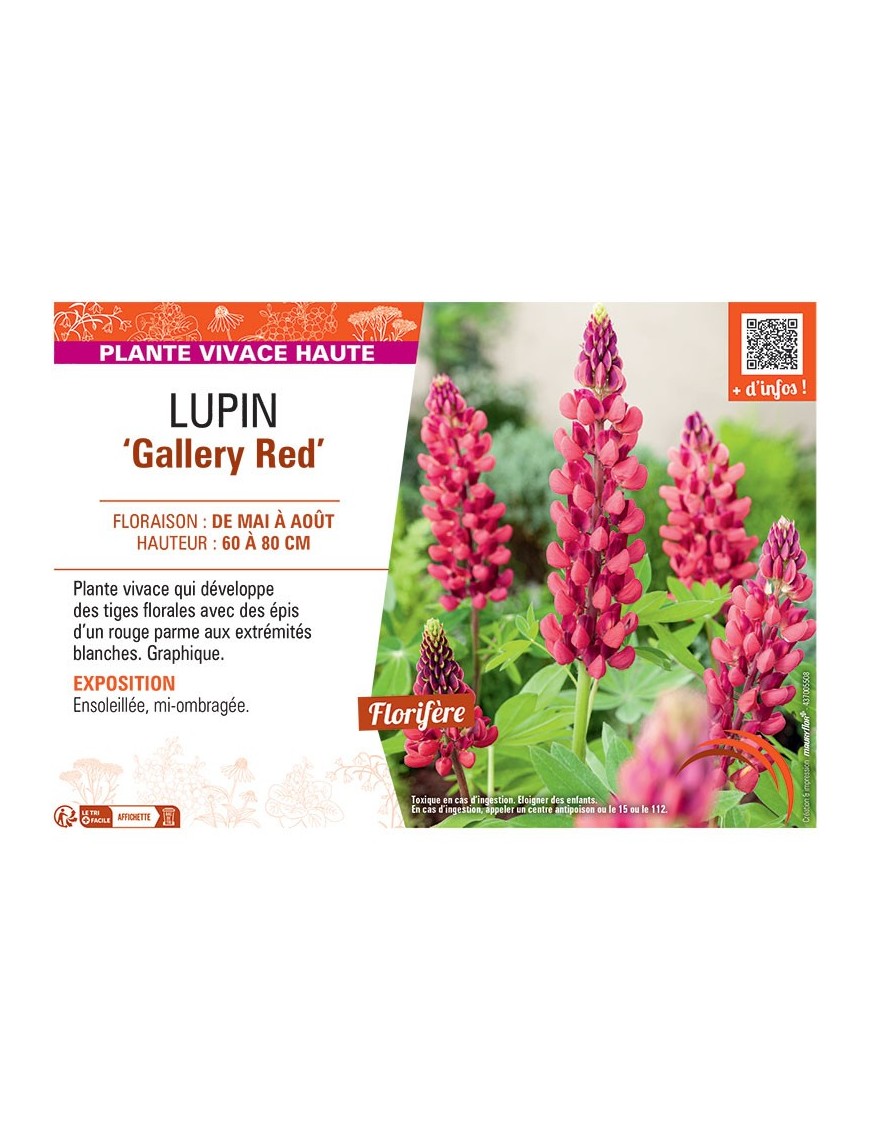 LUPIN GALLERY RED