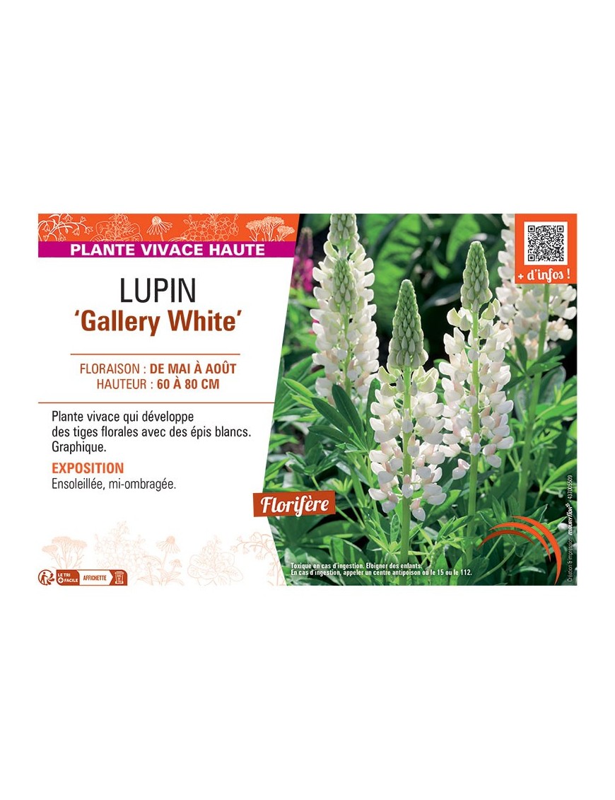 LUPIN GALLERY WHITE