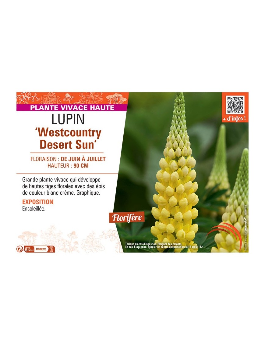 LUPIN WESTCOUNTRY DESERT SUN