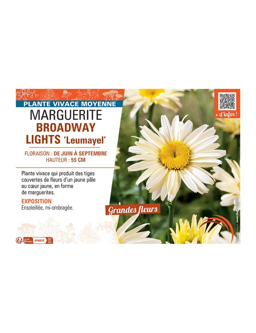 MARGUERITE BROADWAY LIGHTS Leumayel