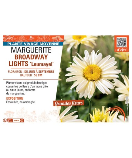 MARGUERITE BROADWAY LIGHTS Leumayel