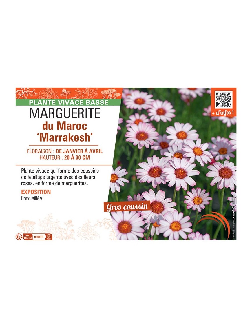 MARGUERITE DU MAROC MARRAKESH