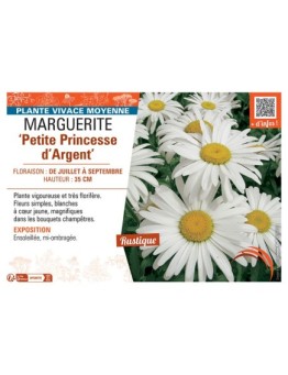 MARGUERITE PETITE PRINCESSE D'ARGENT