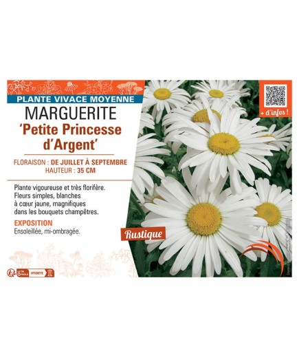 MARGUERITE PETITE PRINCESSE D'ARGENT