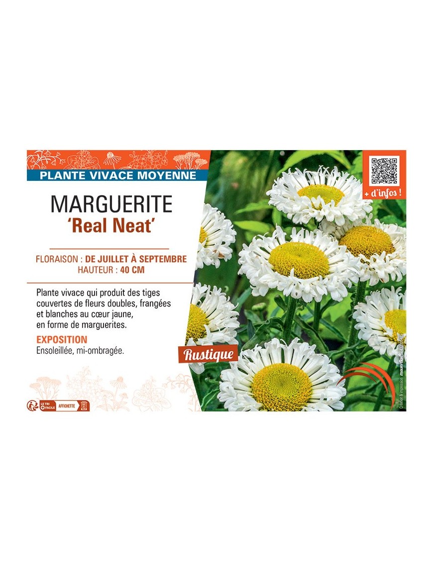 MARGUERITE REAL NEAT