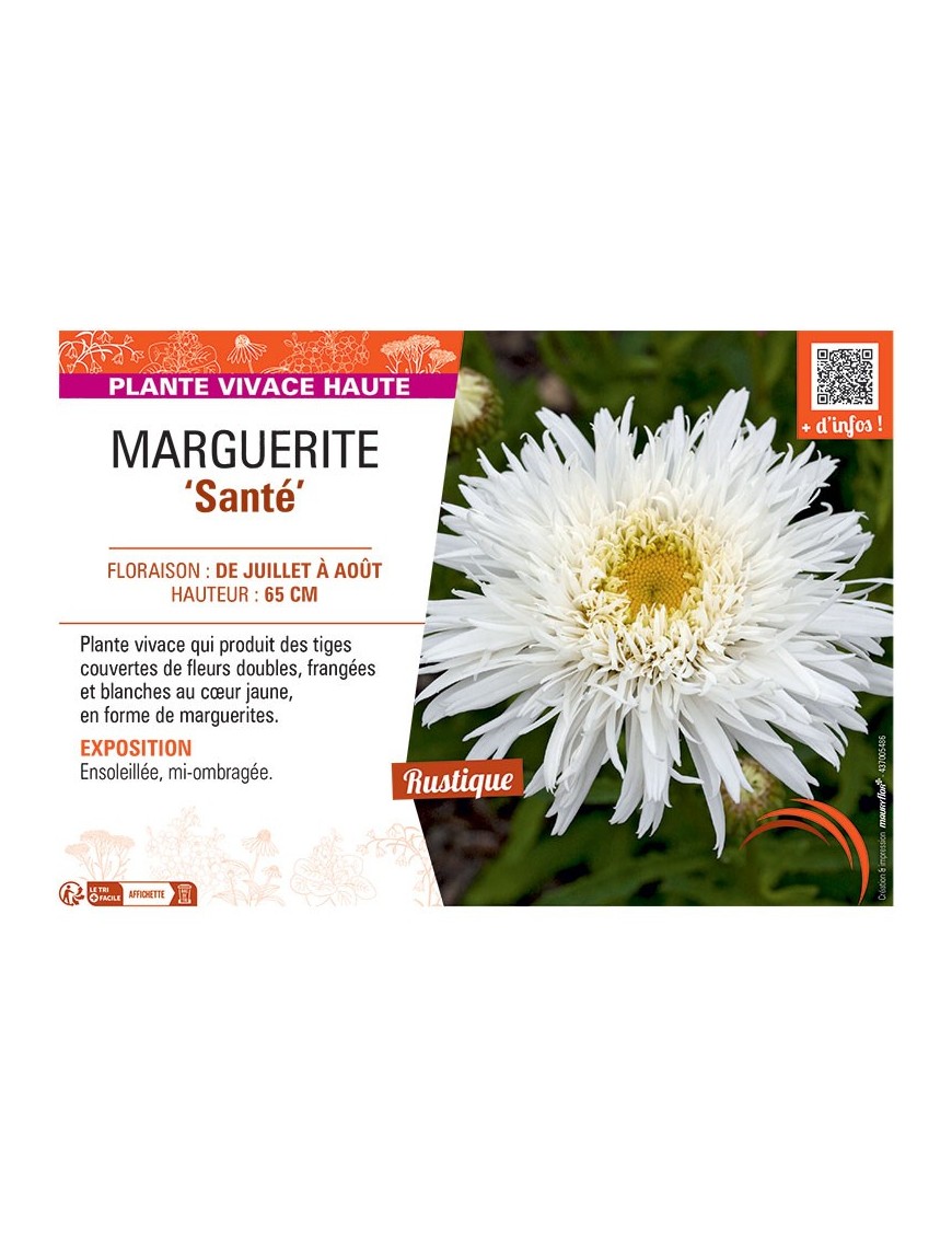 MARGUERITE SANTE