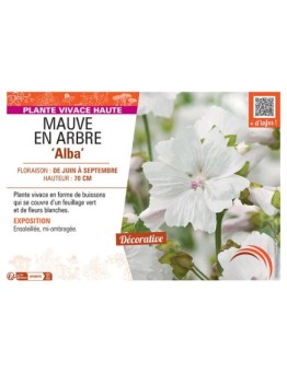 MAUVE EN ARBRE ALBA