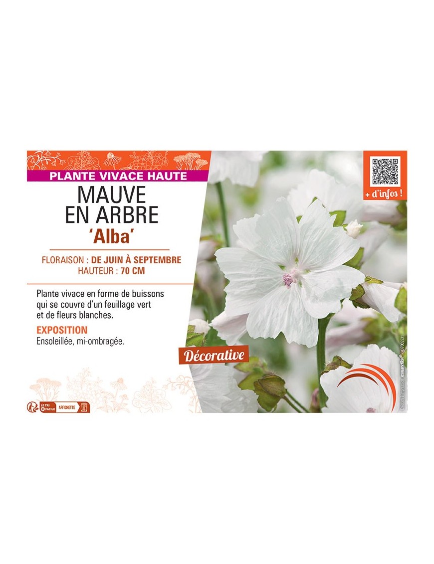 MAUVE EN ARBRE ALBA