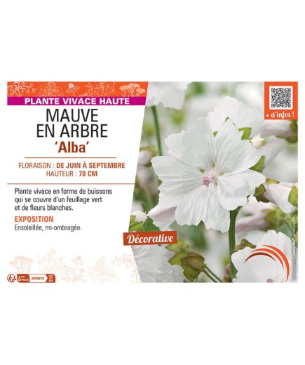 MAUVE EN ARBRE ALBA