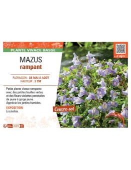 MAZUS RAMPANT