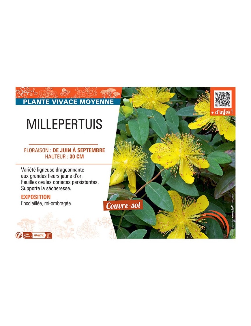 MILLEPERTUIS