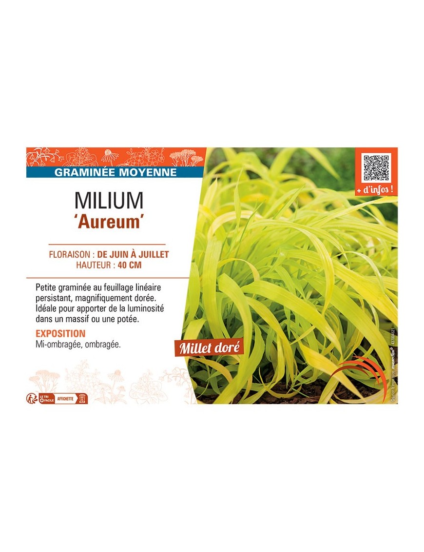 MILLIUM AUREUM