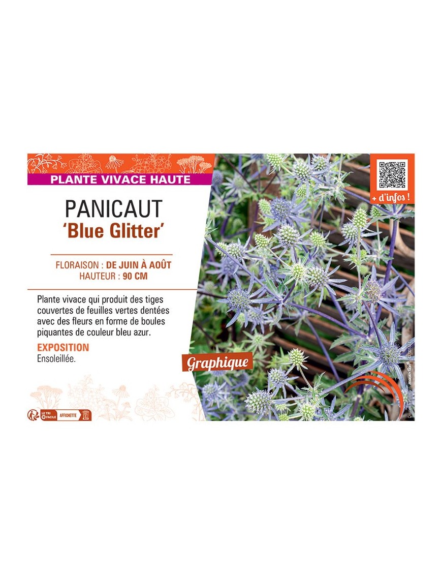 PANICAUT BLUE GLITTER
