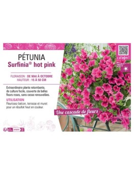 PETUNIA SURFINIA® HOT PINK