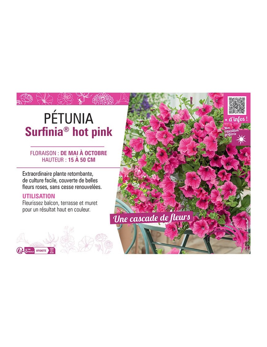 PETUNIA SURFINIA® HOT PINK