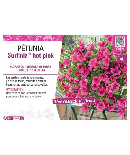 PETUNIA SURFINIA® HOT PINK