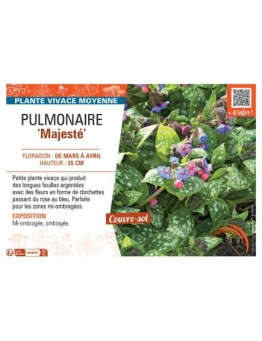 PUMONAIRE MAJESTE
