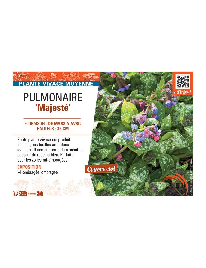 PUMONAIRE MAJESTE