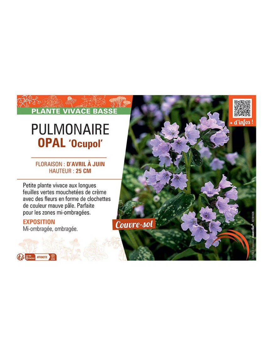 PUMONAIRE OPAL Ocupol