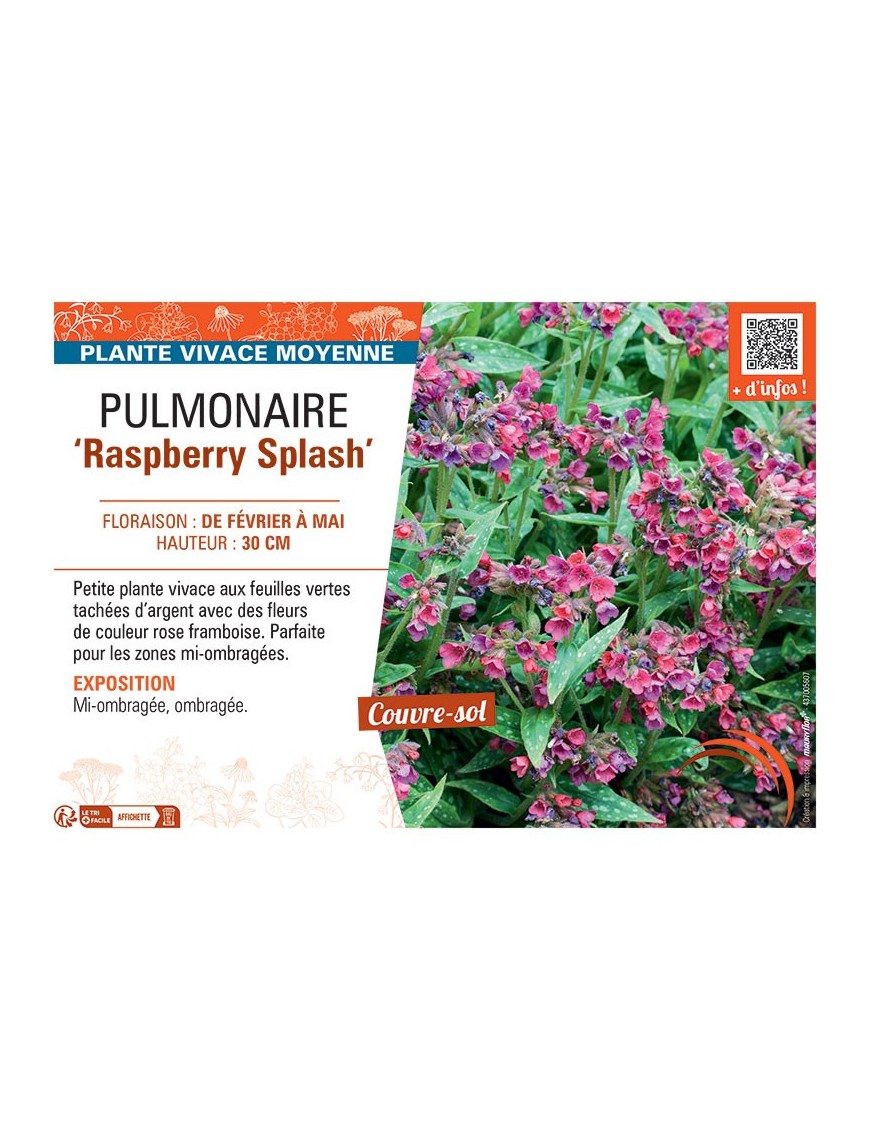 PUMONAIRE RASPBERRY SPLASH
