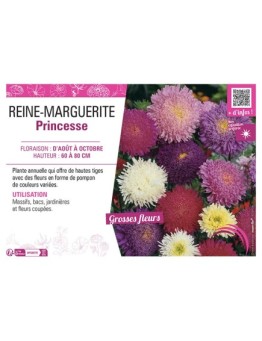 REINE-MARGUERITE PRINCESSE