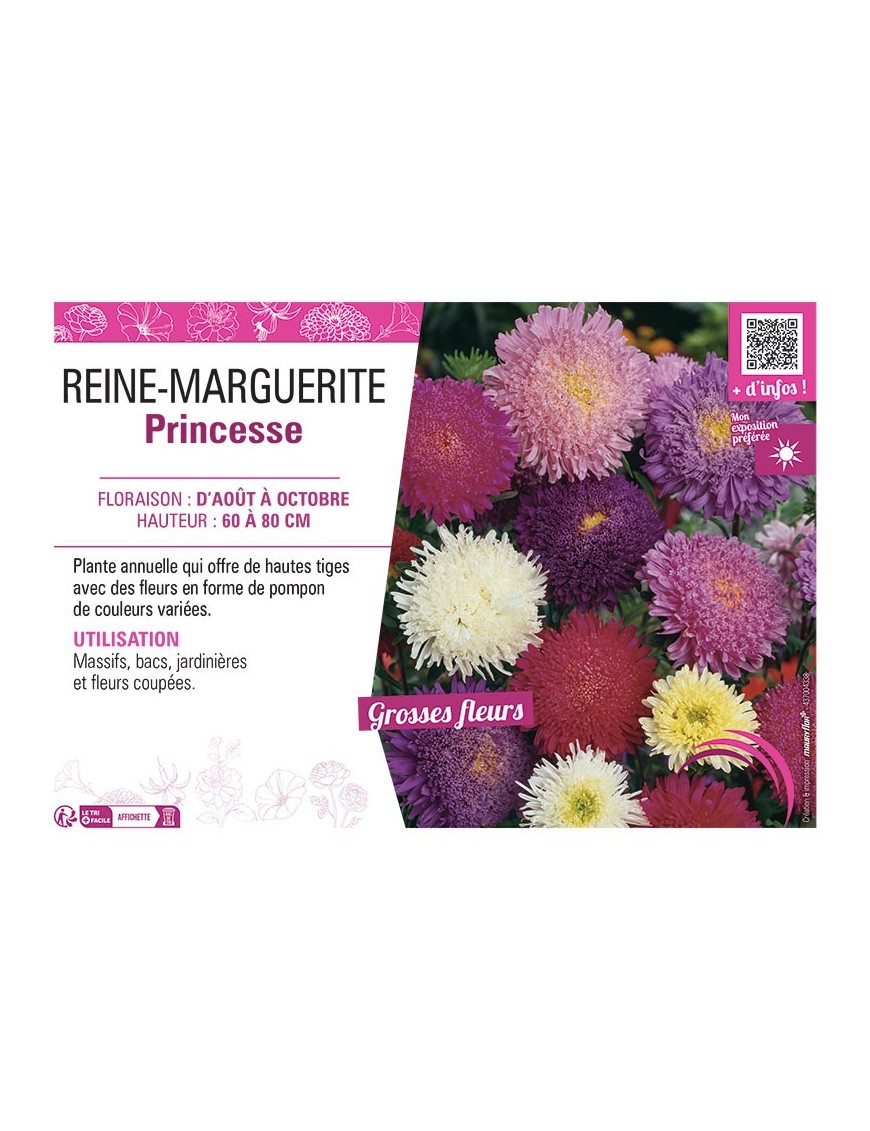 REINE-MARGUERITE PRINCESSE