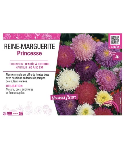 REINE-MARGUERITE PRINCESSE