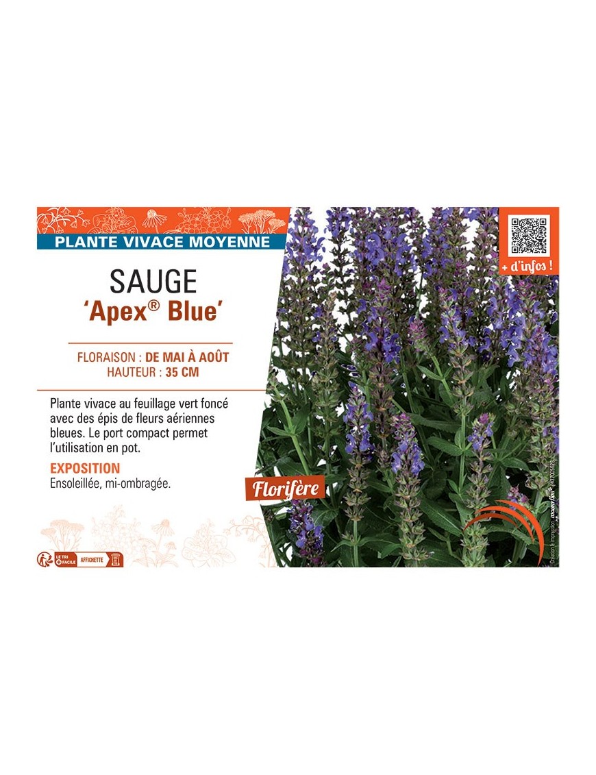 SAUGE APEX® BLUE