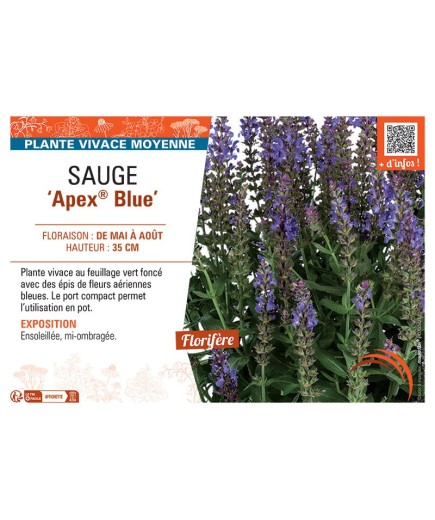 SAUGE APEX® BLUE