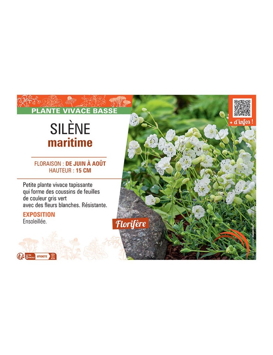 SILENE MARITIME