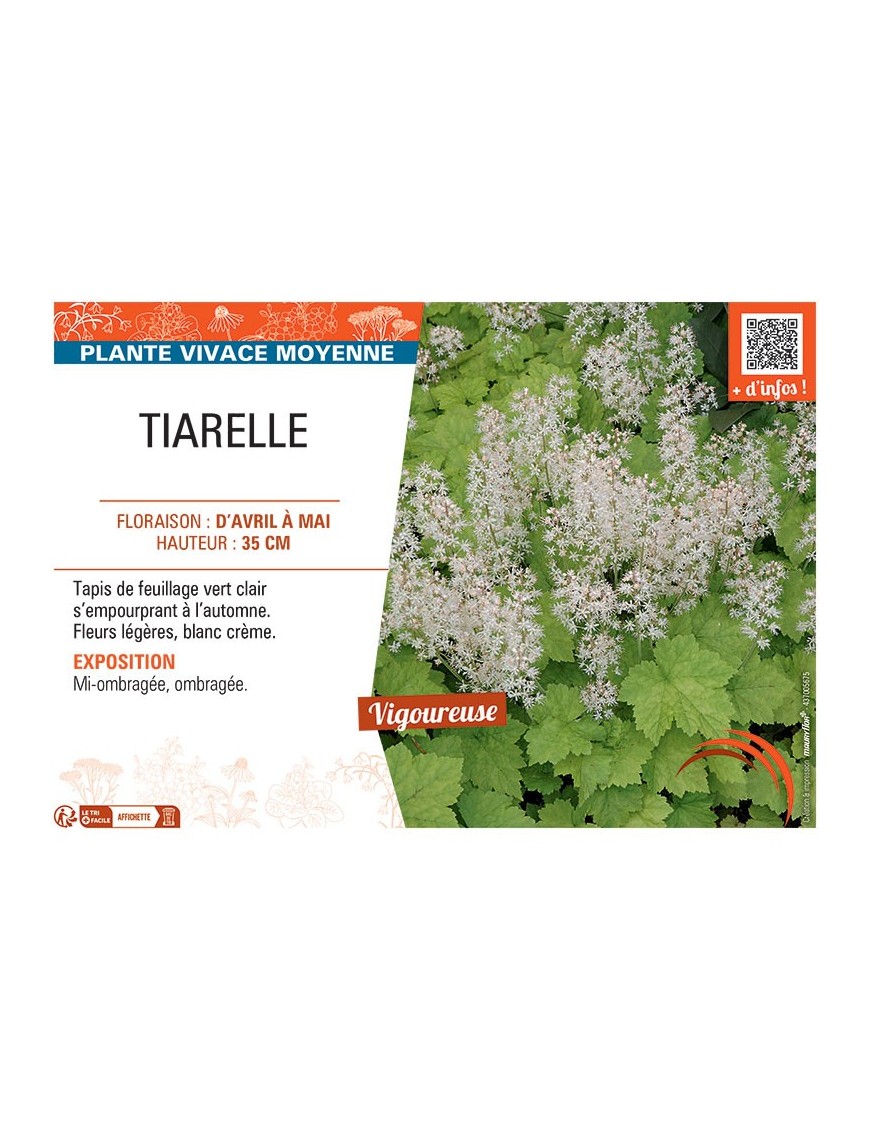 TIARELLE