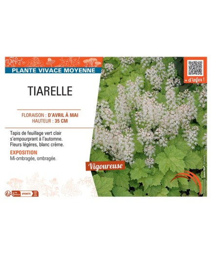 TIARELLE