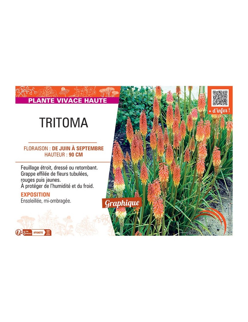 TRITOMA