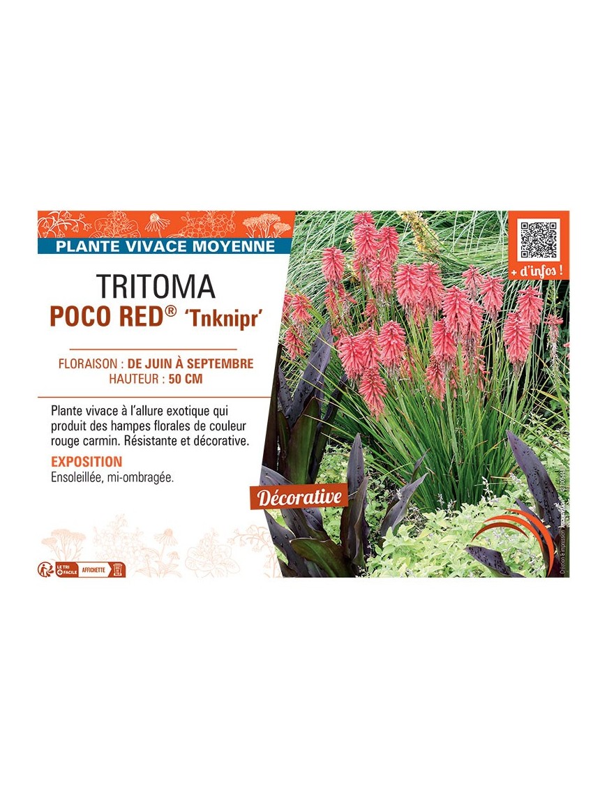 TRITOMA POCO RED® Tnknipr
