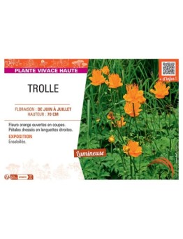 TROLLE (orange)