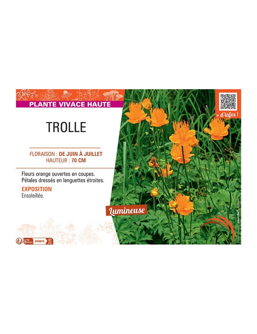 TROLLE (orange)