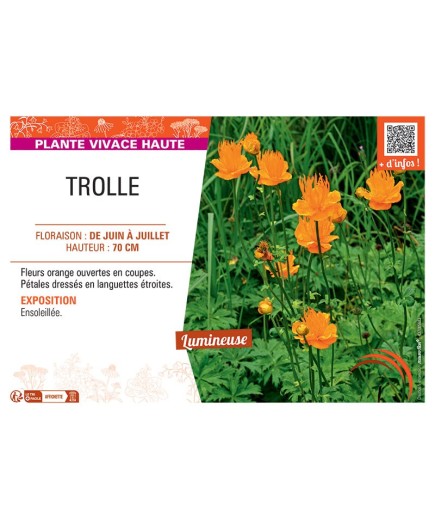TROLLE (orange)