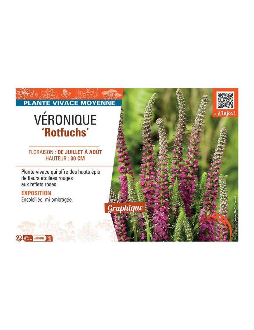 VERONIQUE ROTFUCHS