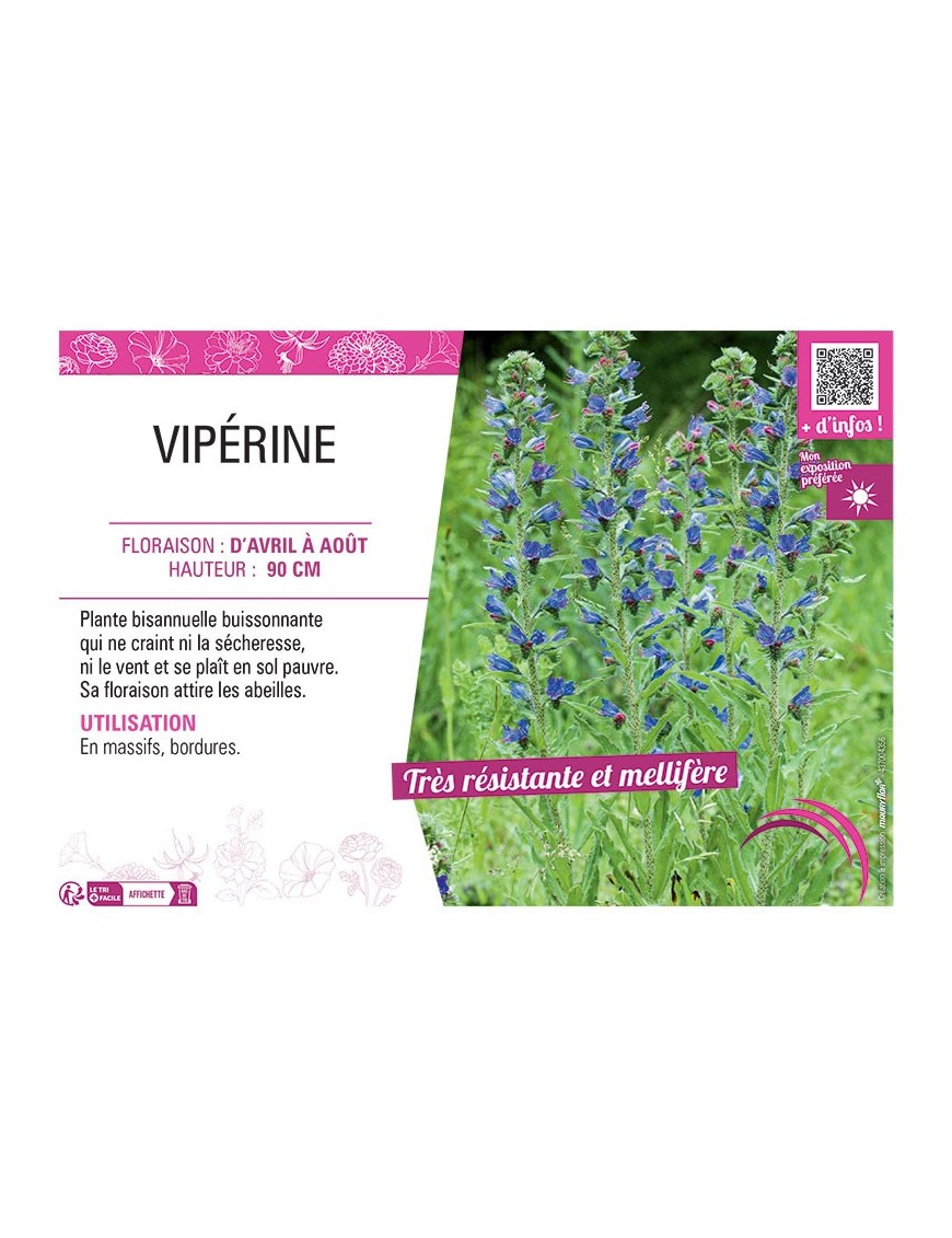 VIPERINE
