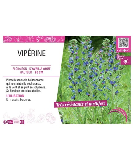 VIPERINE